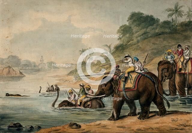 Tiger hunting in India: men riding elephants shoot at a tiger that tries to escape by..., 1800-1809. Creator: Samuel Howitt.