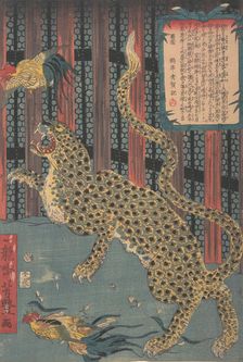 Tiger in a Cage, 7th month, 1860. Creator: Ichiryusai Yoshitoyo