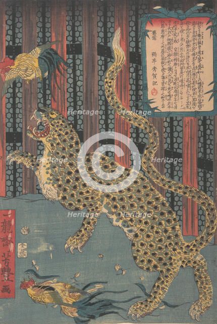 Tiger in a Cage, 7th month, 1860. Creator: Ichiryusai Yoshitoyo.