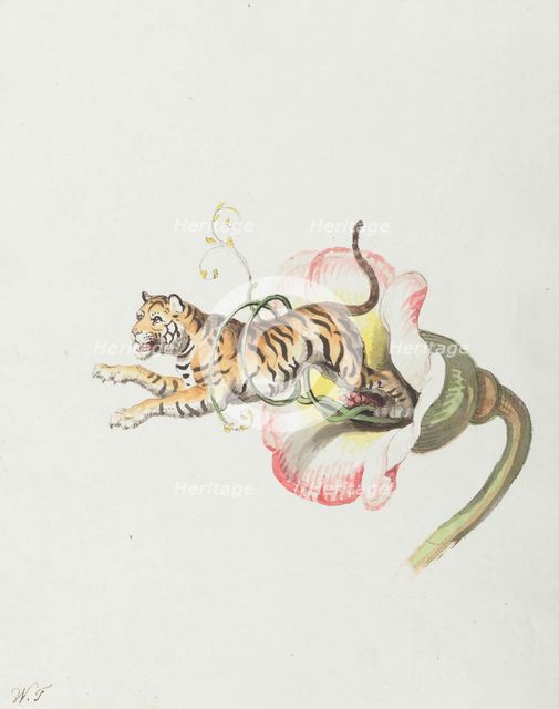 Tiger jumping from a flower crown. Allegory on flower seeds, 1817. Creator: Tischbein, Johann Heinrich Wilhelm (1751-1829).