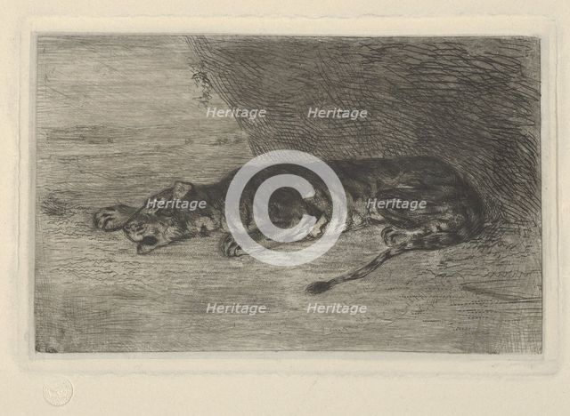 Tiger Lying at the Entrance of its Lair, ca. 1828-30., ca. 1828-30. Creator: Eugene Delacroix.