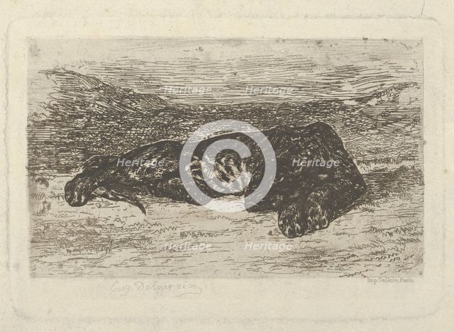 Tiger Lying in the Desert, 1846 (?)., 1846 (?). Creator: Eugene Delacroix.