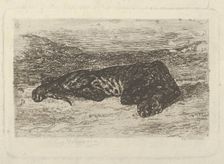 Tiger Lying in the Desert, 1846 (?)., 1846 (?). Creator: Eugene Delacroix