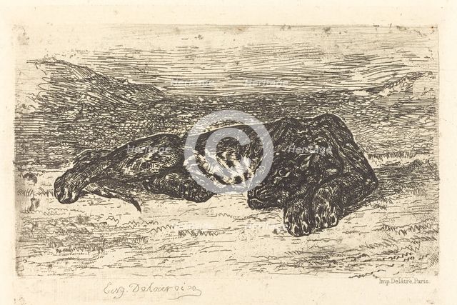 Tiger Sleeping in the Desert (Tigre couché dans le désert), 1846. Creator: Eugene Delacroix.