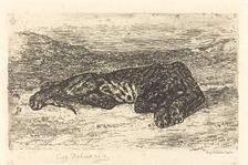 Tiger Sleeping in the Desert (Tigre couché dans le désert), 1846. Creator: Eugene Delacroix