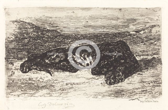 Tiger Sleeping in the Desert, c. 1830. Creator: Eugene Delacroix.