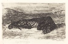 Tiger Sleeping in the Desert, c. 1830. Creator: Eugene Delacroix