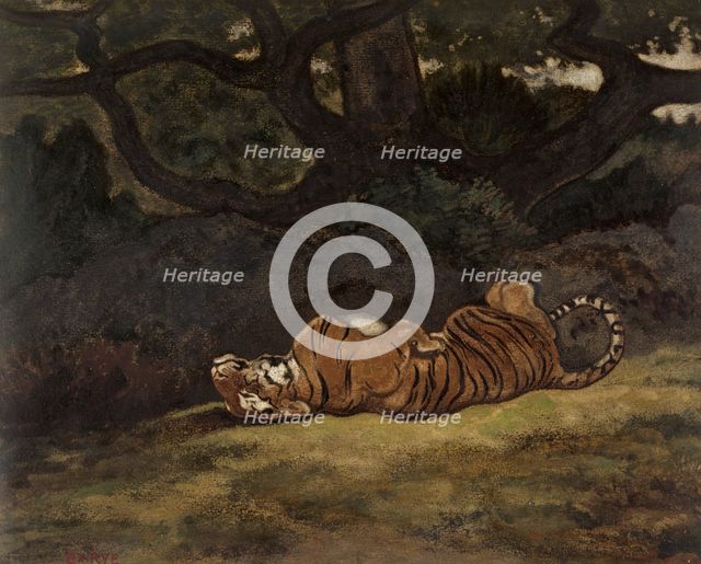 Tiger Rolling, c1850-1869. Creator: Antoine-Louis Barye.