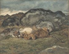 Tiger Rolling on Its Back, 1810-75. Creator: Antoine-Louis Barye