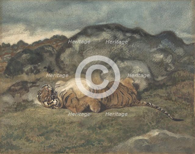 Tiger Rolling on Its Back, 1810-75. Creator: Antoine-Louis Barye.
