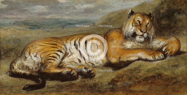 Tiger Resting, c. 1830. Creator: Pierre Andrieu.
