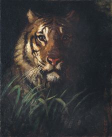 Tiger's Head, ca. 1874. Creator: Abbott Handerson Thayer