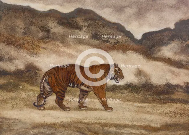 Tiger Walking, 1850s. Creator: Antoine-Louis Barye.