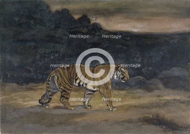 Tiger Walking, c1850s-1860s. Creator: Antoine-Louis Barye.