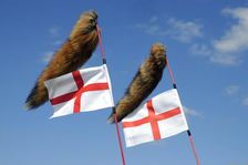 Tiger tail mod accessories on scooter