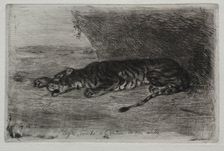 Tigre couché à lentrée de son antre. Creator: Eugène Delacroix (French, 1798-1863)