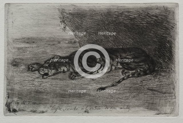 Tigre couché à lentrée de son antre. Creator: Eugène Delacroix (French, 1798-1863).