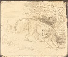 Tigre en arrêt, 1854. Creator: Eugene Delacroix