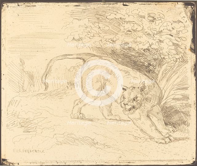 Tigre en arrêt, 1854. Creator: Eugene Delacroix.