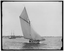 Tigress, 1892 June 11. Creator: Unknown