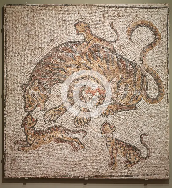 Tigress and Cubs, 300s. Creator: Unknown.