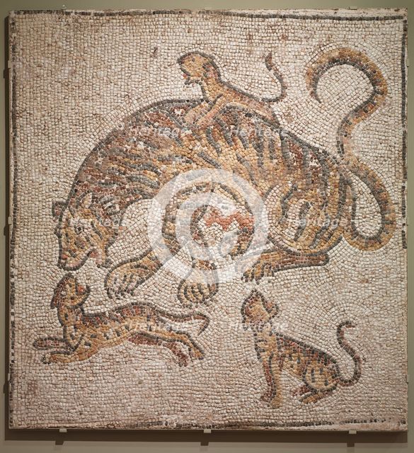 Tigress and Cubs, 300s. Creator: Unknown.