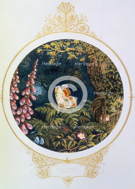 'Till on a green fern's nodding crest', 1870.  Creator: AFL.