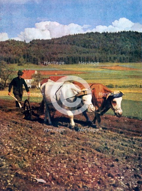 Tilling, Germany, 1943. Artist: Unknown