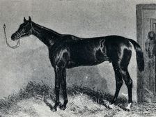 Tim Whiffler c1860s, (1911)