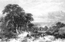 "Timber-clearing on the Hill-side, Sussex" - painted by Henry Jetsum - from the Exhibition of the Br Creator: Mason Jackson