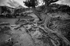 Timeless. Creator: Joshua Johnston