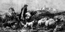 "Tired Sheep - Glen Spean, Scotland", by R. Ansdell, from the exhibition of the Royal Academy, 1862. Creator: W Thomas