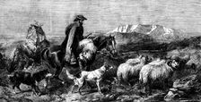 "Tired Sheep - Glen Spean, Scotland", by R. Ansdell, from the exhibition of the Royal Academy, 1862. Creator: W Thomas