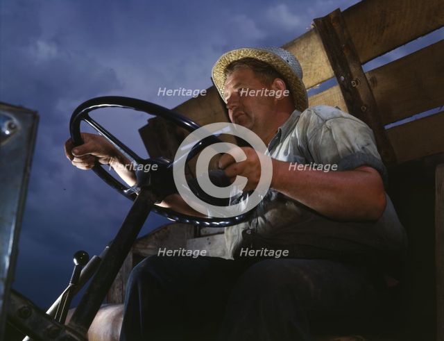 Truck driver at TVA's Douglas Dam, Tennessee, 1942. Creator: Alfred T Palmer.