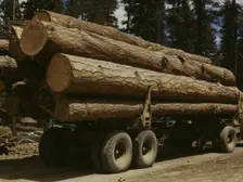 Truck load of ponderosa pine, Edward Hines Lumber Co. operations..., Grant County, Oregon, 1942. Creator: Russell Lee