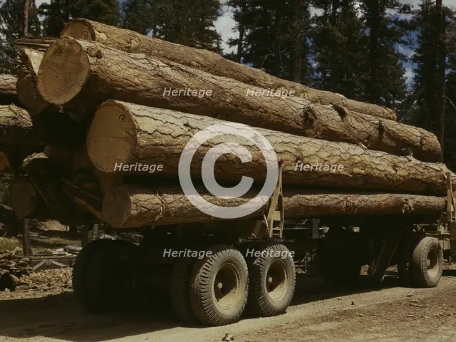 Truck load of ponderosa pine, Edward Hines Lumber Co. operations..., Grant County, Oregon, 1942. Creator: Russell Lee.