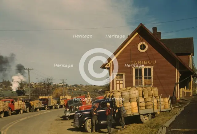 Trucks outside of a starch factory, Caribou, Aroostook County, Maine. , 1940. Creator: Jack Delano.