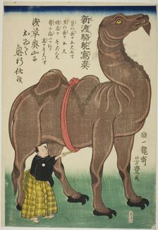 True Drawing of a Newly Arrived Camel (Shinto rakuda shashin), 1863. Creator: Utagawa Yoshitoyo