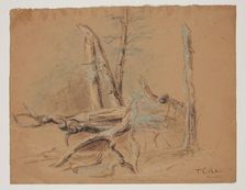 Trunks of Trees and Foliage, between 1820 and 1848. Creator: Thomas Cole