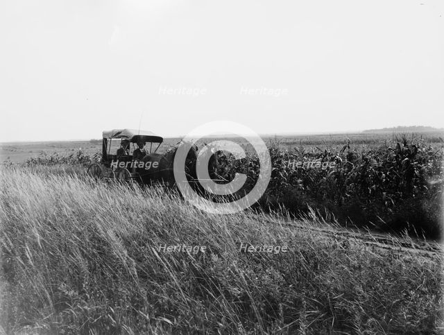 Tracey (i.e. Tracy), Minn., a country road, between 1880 and 1899. Creator: Unknown.