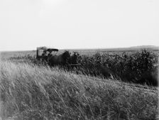 Tracey (i.e. Tracy), Minn., a country road, between 1880 and 1899. Creator: Unknown