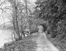 Track on the bank of the River Thames, Cliveden, Taplow, Buckinghamshire, 1883. Artist: Henry Taunt