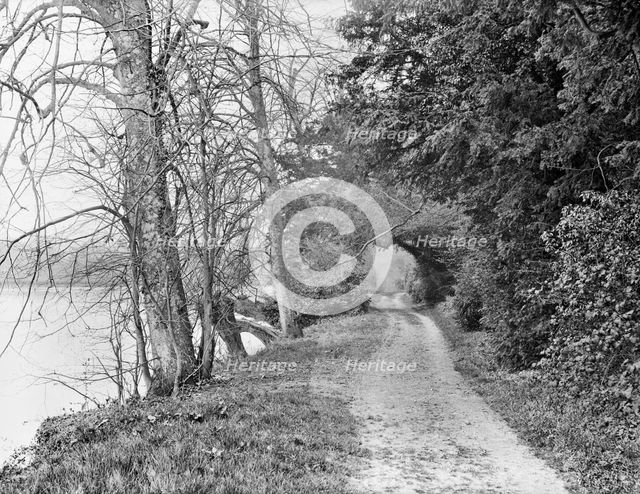 Track on the bank of the River Thames, Cliveden, Taplow, Buckinghamshire, 1883. Artist: Henry Taunt.
