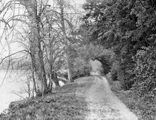 Track on the bank of the River Thames, Cliveden, Taplow, Buckinghamshire, 1883. Artist: Henry Taunt