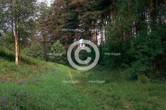 Track of a Roman road. Artist: Unknown