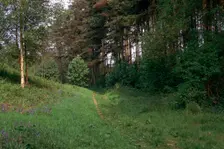 Track of a Roman road