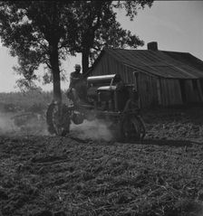 Tractor and driver on the Aldridge Plantation, Mississippi, 1937. Creator: Dorothea Lange