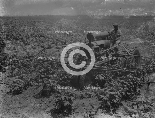 Tractor and integrated four-row cultivator, Aldridge Plantation, near Leland, Mississippi, 1937. Creator: Dorothea Lange.