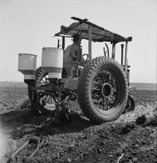 Tractor and operator, Navarro, Texas, 1937. Creator: Dorothea Lange