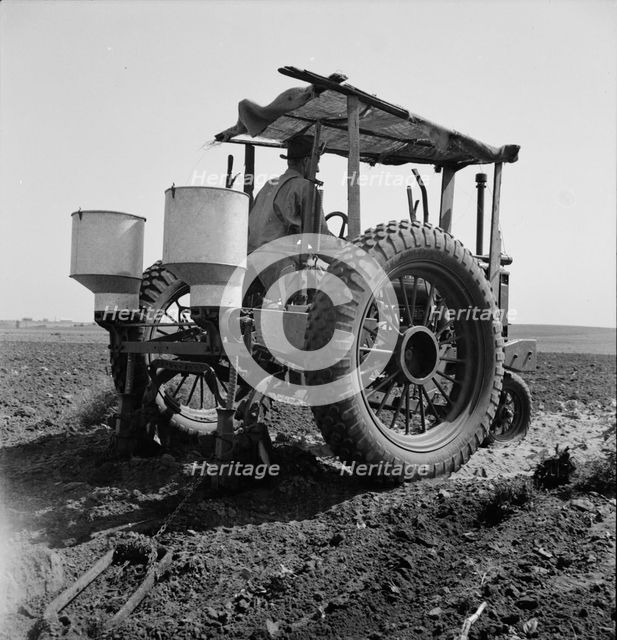 Tractor and operator, Navarro, Texas, 1937. Creator: Dorothea Lange.